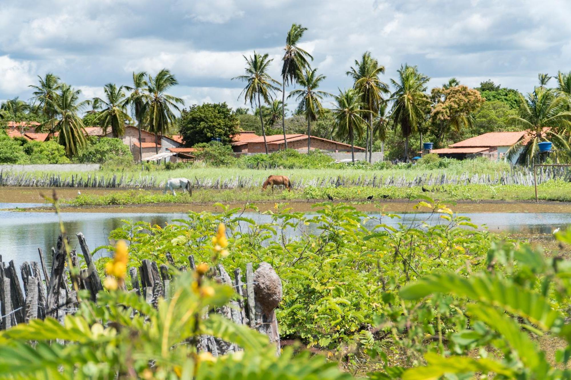 Vila Do Junco Santo Amaro do Maranhao Ngoại thất bức ảnh